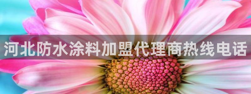 和记旗舰厅：河北防水涂料加盟代理商热线电话