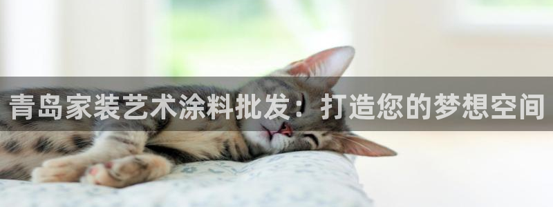 和记平台注册：青岛家装艺术涂料批发：打造您的梦想空间