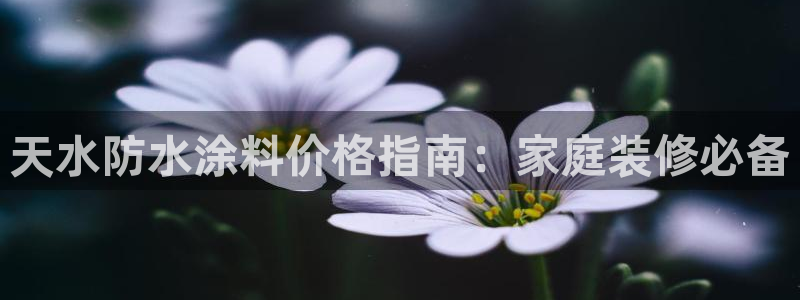和记国际：天水防水涂料价格指南：家庭装修必备