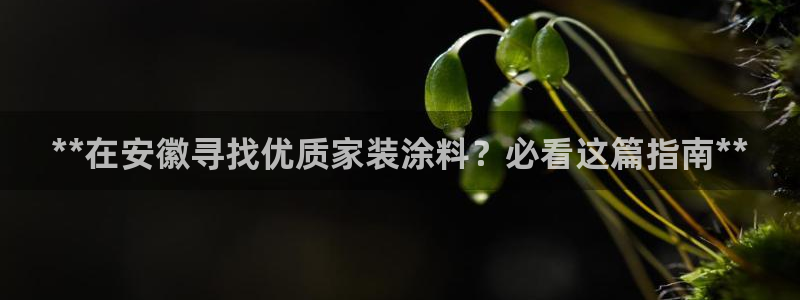 和记pc：**在安徽寻找优质家装涂料？必看这篇指南**