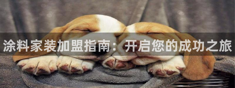 和记h188：涂料家装加盟指南：开启您的成功之旅