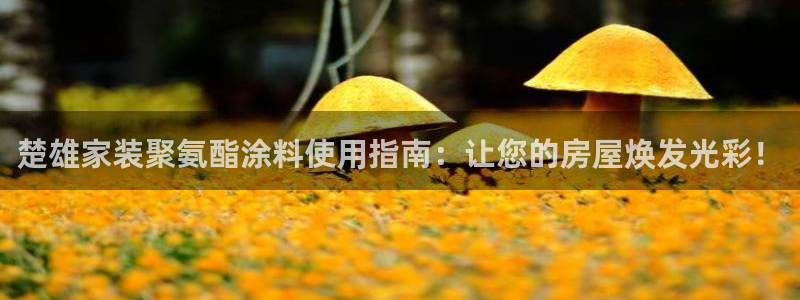 和记官方直营注册：楚雄家装聚氨酯涂料使用指南：让您的房屋焕发光彩！