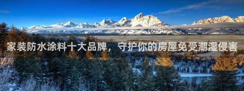 和记官网：家装防水涂料十大品牌，守护你的房屋免受潮湿侵害