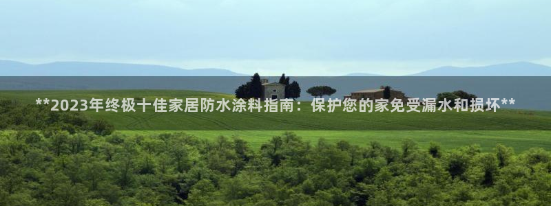 和记ag旗舰厅app：**2023年终极十佳家居防水涂料指南：保护您的家免受漏水和损坏**