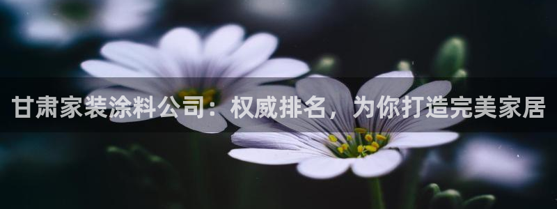 和记平台登录：甘肃家装涂料公司：权威排名，为你打造完美家居