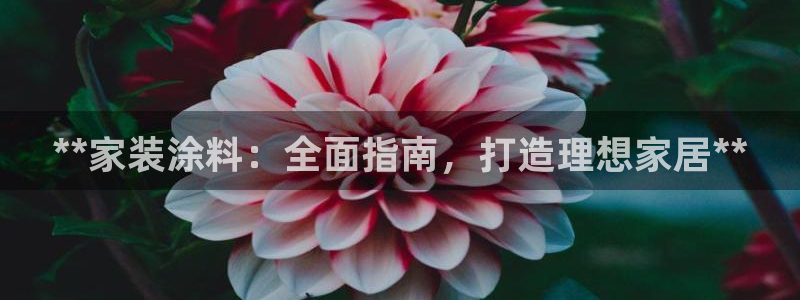 和记官网 公司