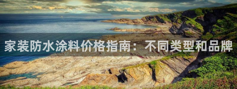 和记pc：家装防水涂料价格指南：不同类型和品牌