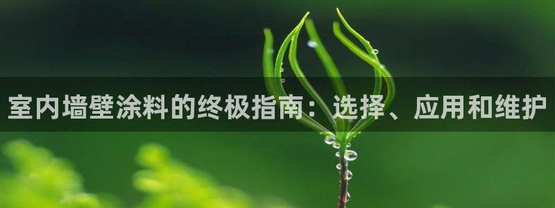 和记港口：室内墙壁涂料的终极指南：选择、应用和维护