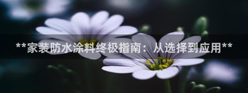 和记下载：**家装防水涂料终极指南：从选择到应用**