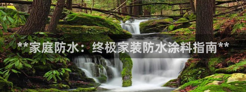 和记h188：**家庭防水：终极家装防水涂料指南**