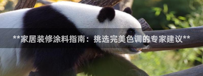 和记app官网
