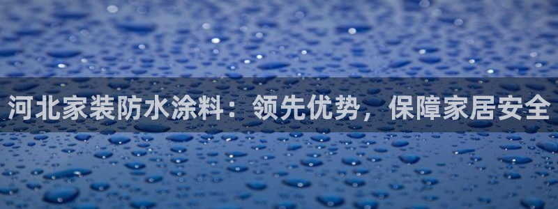 深圳和记科技有限公司：河北家装防水涂料：领先优势，保障家居安全