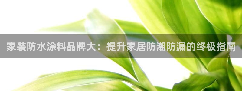 和记平台下载：家装防水涂料品牌大：提升家居防潮防漏的终极指南
