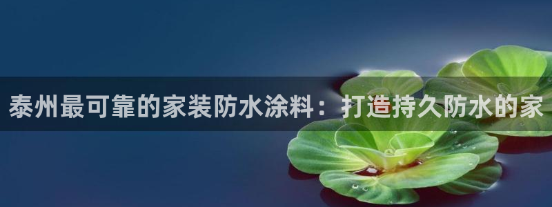 和记注册有什么送的：泰州最可靠的家装防水涂料：打造持久防水的家