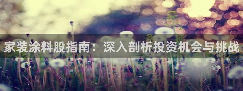 江苏和记餐饮有限公司：家装涂料股指南：深入剖析投资机会与挑战