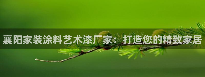 和记h88游戏：襄阳家装涂料艺术漆厂家：打造您的精致家居