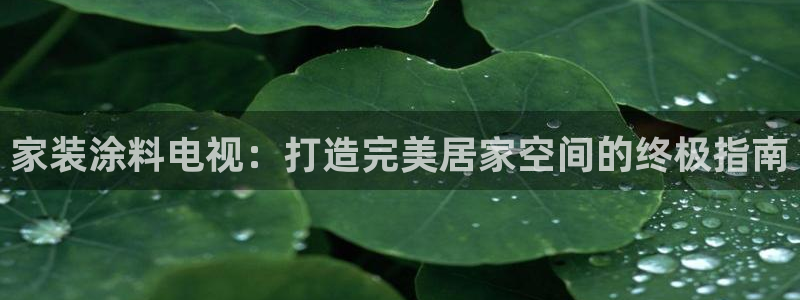 和记国际
