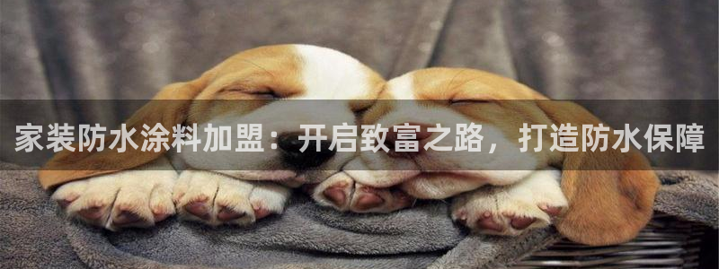 和记官方网址：家装防水涂料加盟：开启致富之路，打造防水保障