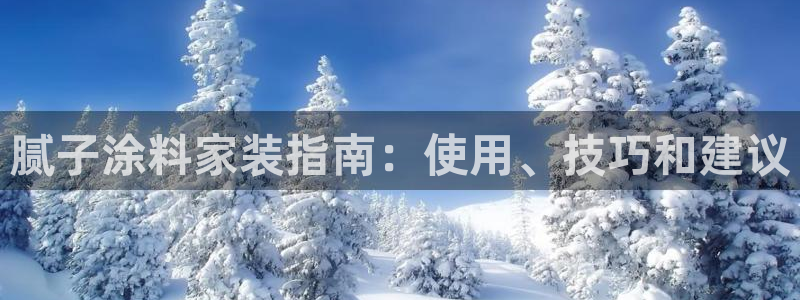 和记ag网址：腻子涂料家装指南：使用、技巧和建议