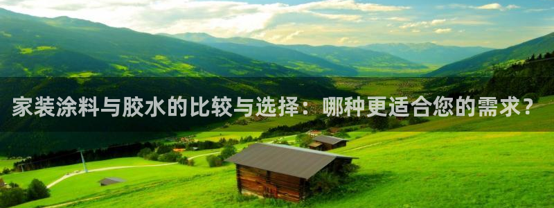 和记ag旗舰国际：家装涂料与胶水的比较与选择：哪种更适合您的需求？