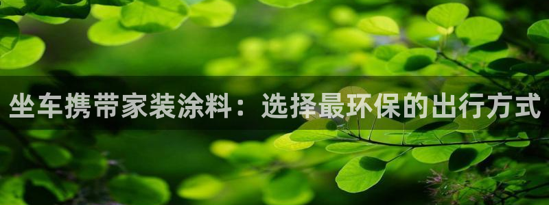 和记ag网址：坐车携带家装涂料：选择最环保的出行方式