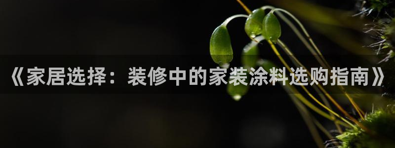 和记(福建)商贸有限公司：《家居选择：装修中的家装涂料选购指南》