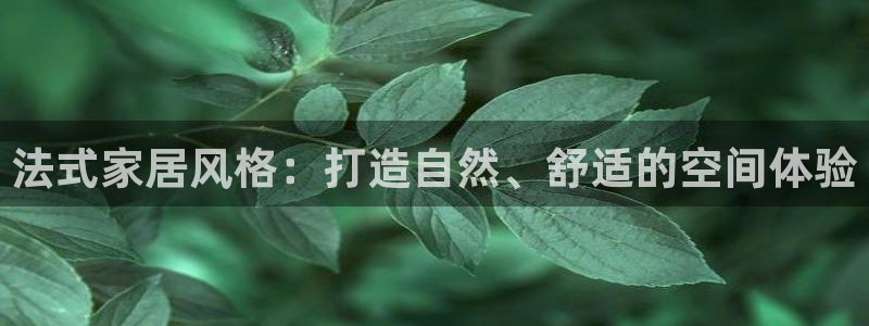 江苏和记餐饮有限公司：法式家居风格：打造自然、舒适的空间体验
