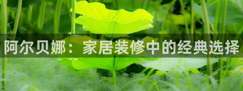 和记官网登录：阿尔贝娜：家居装修中的经典选择