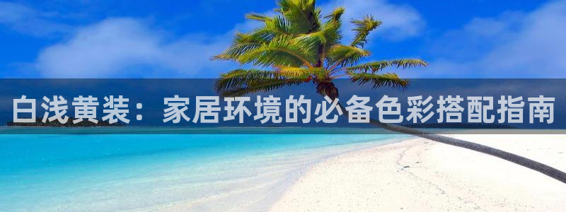 和记国际听