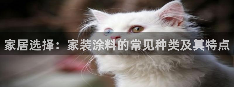 下载和记app