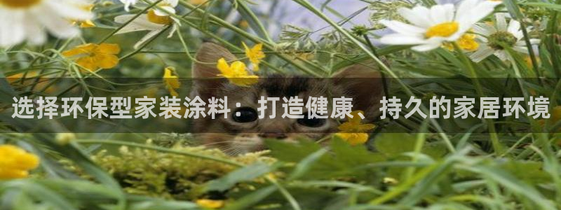 上海和记餐饮有限公司：选择环保型家装涂料：打造健康、持久的家