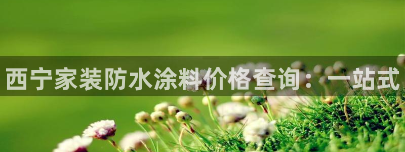 和记官方直营注册：西宁家装防水涂料价格查询：一站式