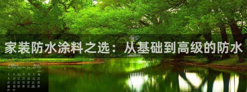 和记下载：家装防水涂料之选：从基础到高级的防水