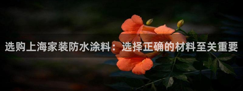 和记平台下载：选购上海家装防水涂料：选择正确的材料至关重要