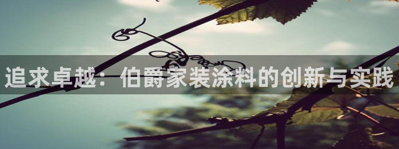 和记pc：追求卓越：伯爵家装涂料的创新与实践