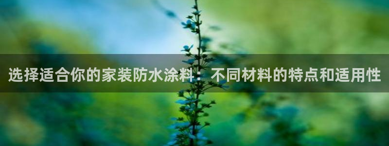 和记官方