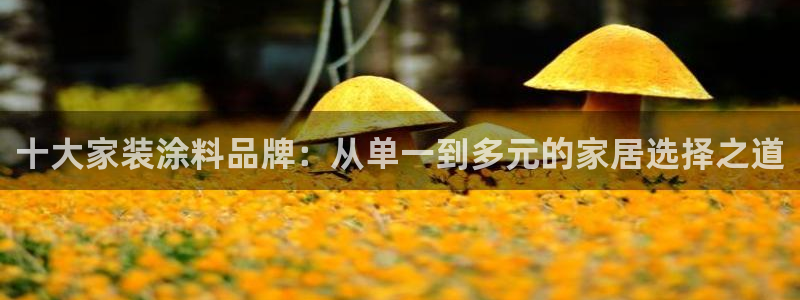 和记平台登录：十大家装涂料品牌：从单一到多元的家居选择之道