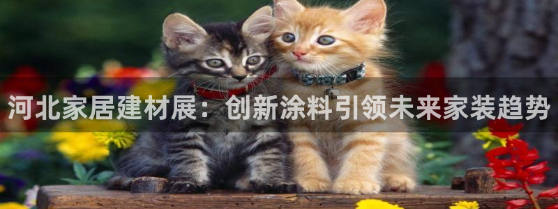 和记平台登陆：河北家居建材展：创新涂料引领未来家装趋势