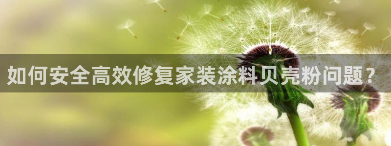 和记ag网址：如何安全高效修复家装涂料贝壳粉问题？