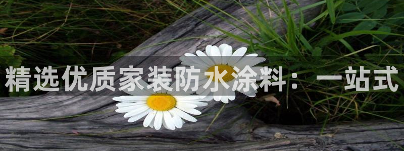 和记国际：精选优质家装防水涂料：一站式