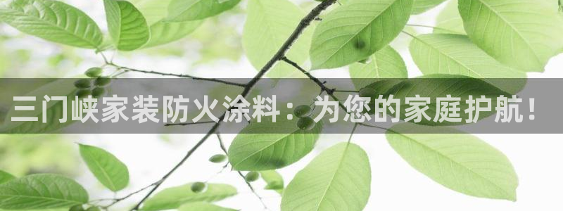 和记AG：三门峡家装防火涂料：为您的家庭护航！