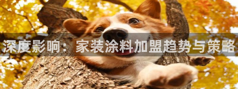 和记h188：深度影响：家装涂料加盟趋势与策略