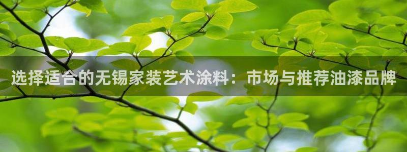 和记官方网址：选择适合的无锡家装艺术涂料：市场与推荐油漆品牌