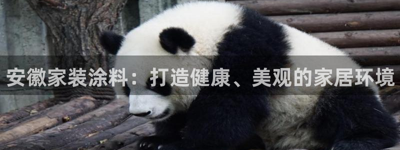 和记ag旗舰国际：安徽家装涂料：打造健康、美观的家居环境