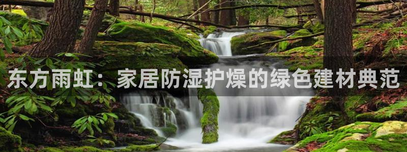 和记下载：东方雨虹：家居防湿护燥的绿色建材典范