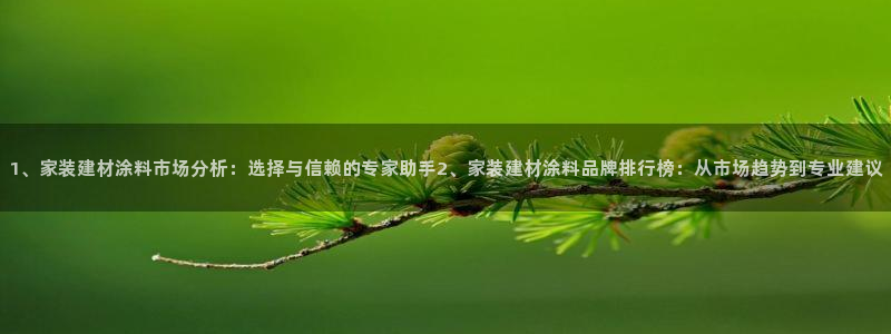 和记Ag：1、家装建材涂料市场分析：选择与信赖的专家助手2、家装建材涂料品牌排行榜：从市场趋势到专业建议