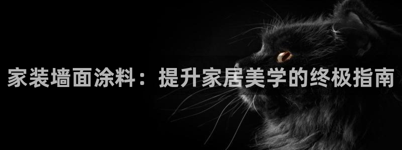 和记官方平台：家装墙面涂料：提升家居美学的终极指南