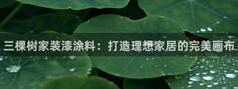 和记国际客服：三棵树家装漆涂料：打造理想家居的完美画布