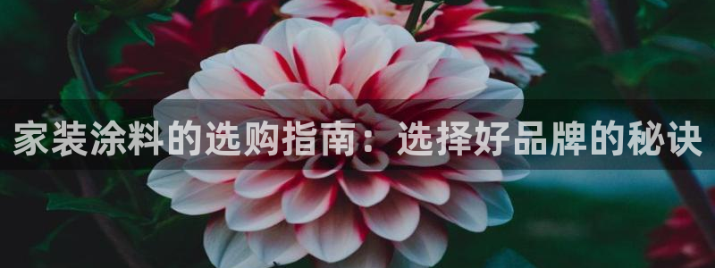 官方和记国际平台登录：家装涂料的选购指南：选择好品牌的秘诀