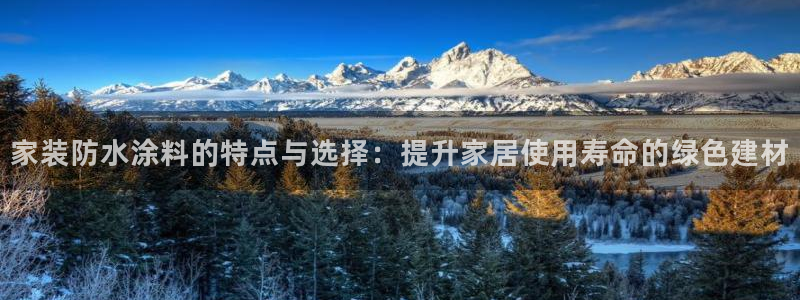 和记AG网站：家装防水涂料的特点与选择：提升家居使用寿命的绿色建材